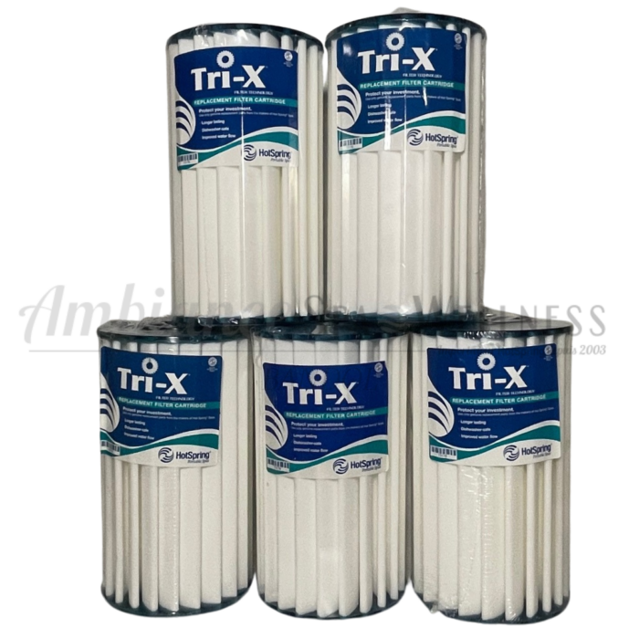 Filtre Tri-X HotSpring - Lot de 5 - Haut Pouvoir de Filtration - Très Résistant - Diamètre Extérieur 15,3 cm
