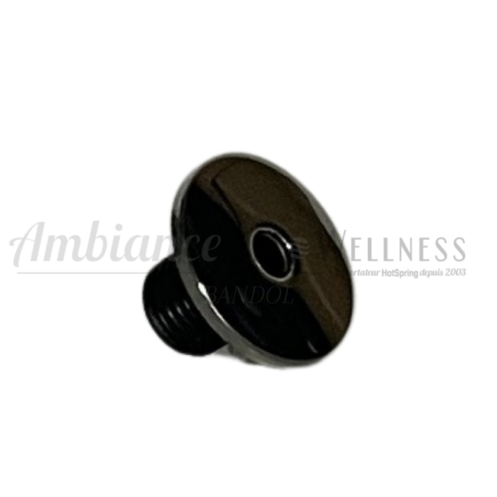Mini jet d'origine en acier inoxydable - HotSpring - Compatible avec la collection Freeflow allant de 2014 à 2023