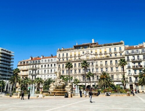 Spa de nage à Toulon : sport et bien-être dans votre jardin
