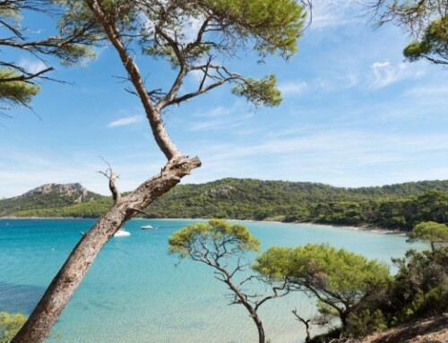 Acheter un spa d’occasion : Pourquoi passer par un revendeur professionnel plutôt qu&rsquo;un particulier ?